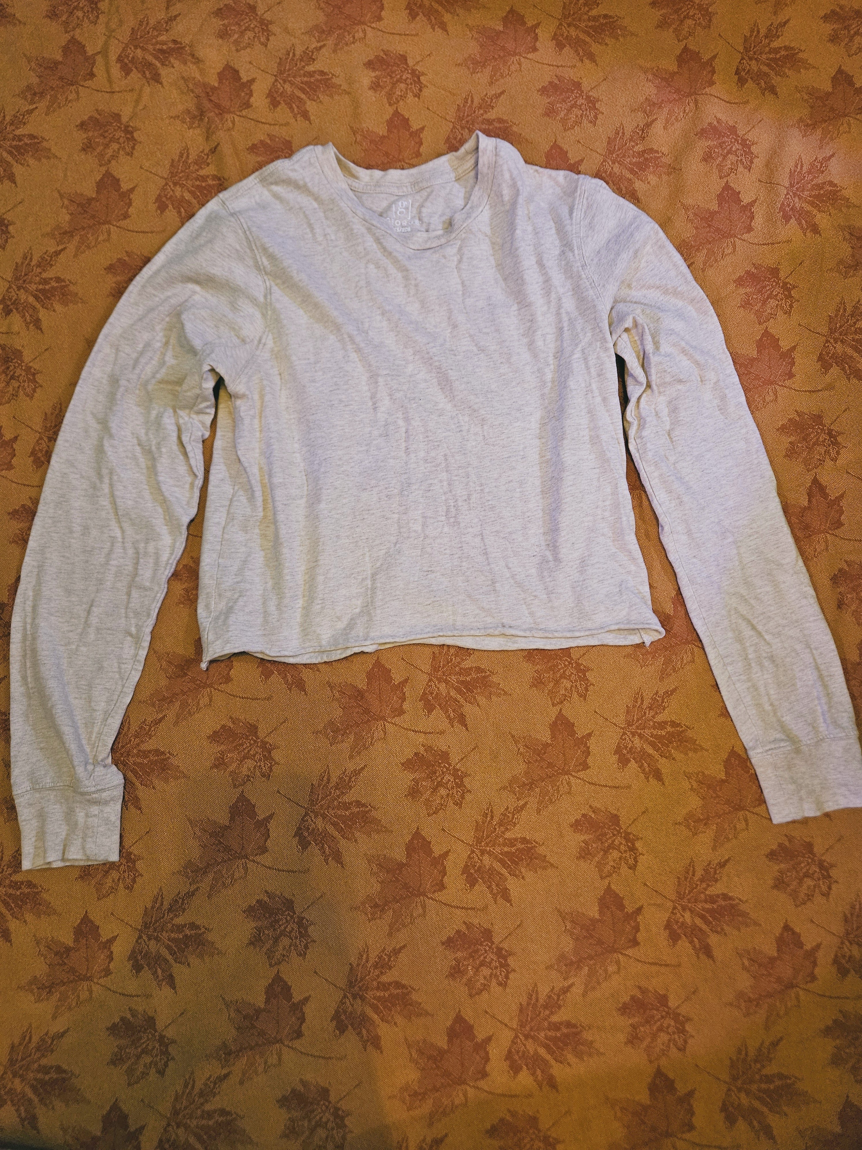 Light Tan Long-Sleeve Cropped Crewneck Top
